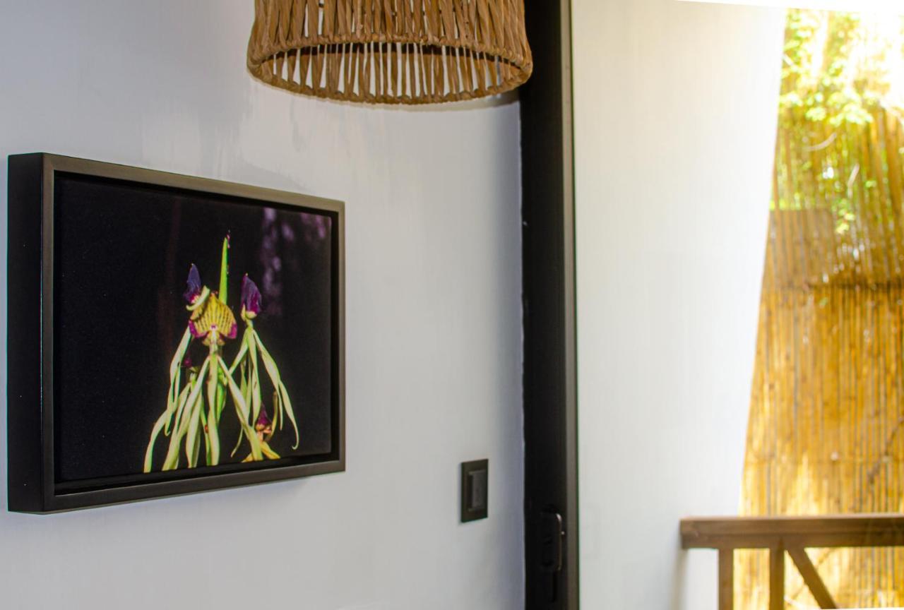 Ximena Hotel Boutique 사율리타 외부 사진